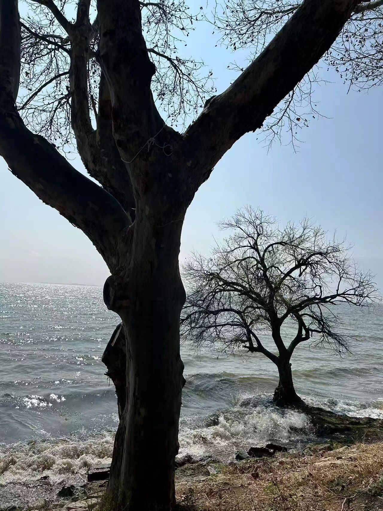 丽师青音‖向阳而生，不负时光。